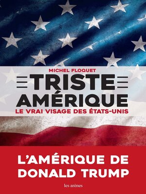 cover image of Triste Amérique